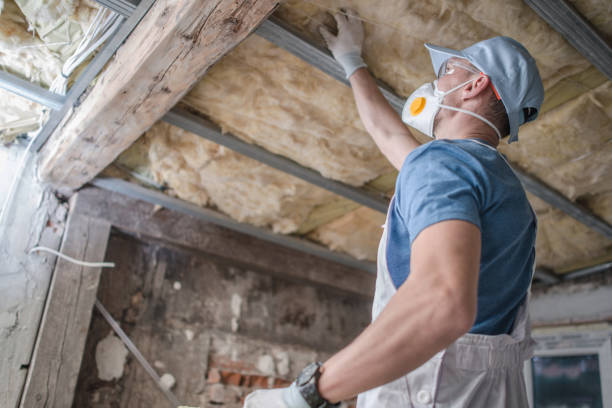 Best Insulation Materials and Products in Fowler, MI