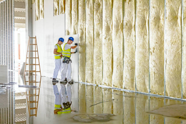 Best Residential Insulation in Fowler, MI